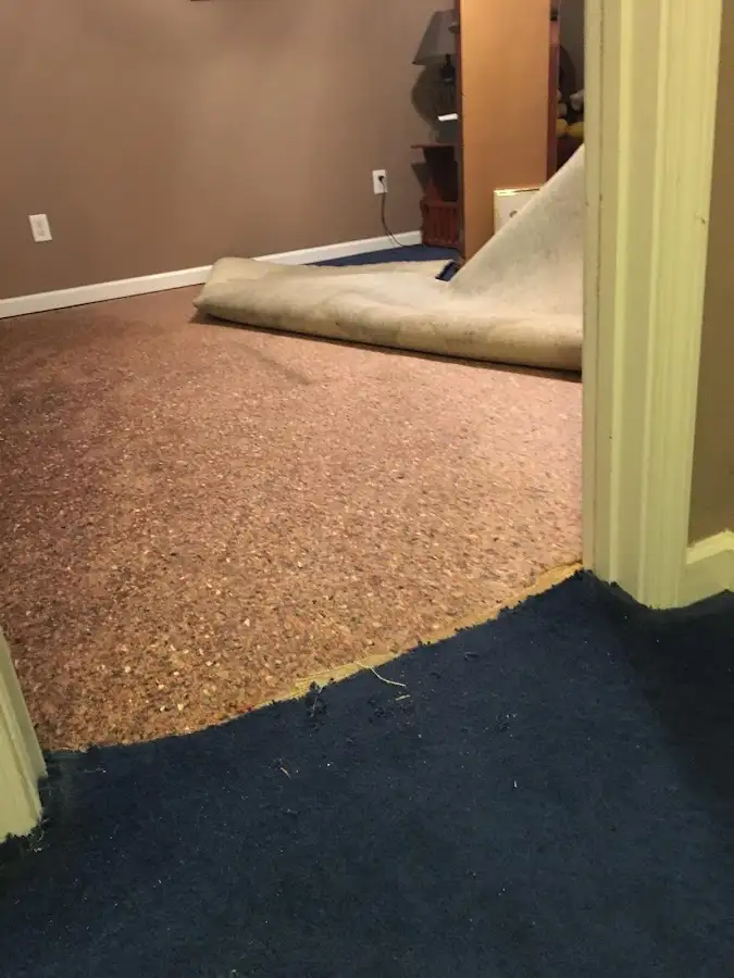 Carpet pad removal revealing water damage during Drying & Dehumidification in Wrentham