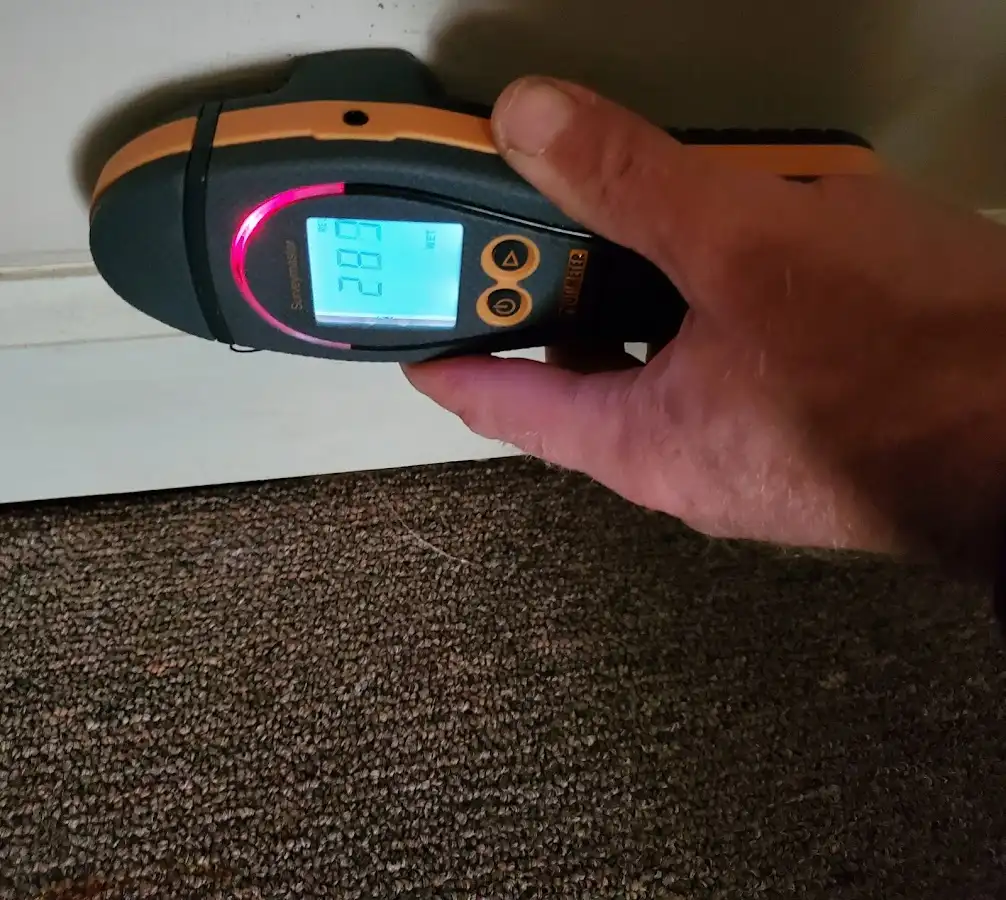 Moisture detection at baseboard during Burst Pipe Cleanup in Wrentham